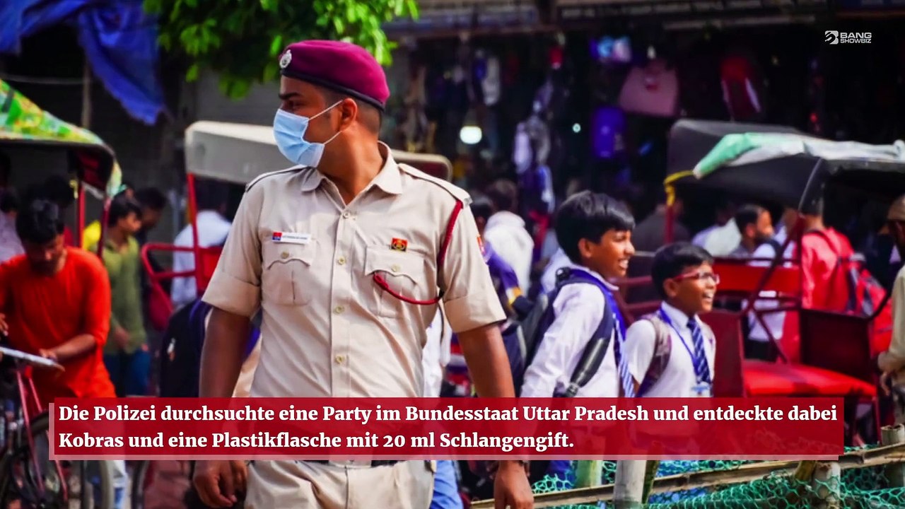 Partygänger in Indien kommen in den Genuss von Schlangengift