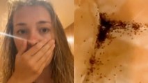 Ants invaded woman's hotel room and covered the walls, ceiling and floor of the bathroom