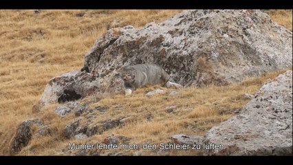 La Panthère des neiges Bande-annonce (DE)