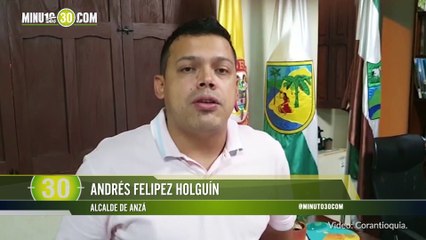 Oso melero fue atacado brutalmente a punta de machete en Anzá, Antioquia