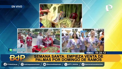 Tải video: Semana Santa: inician venta de palmas por Domingo de Ramos en el Rímac