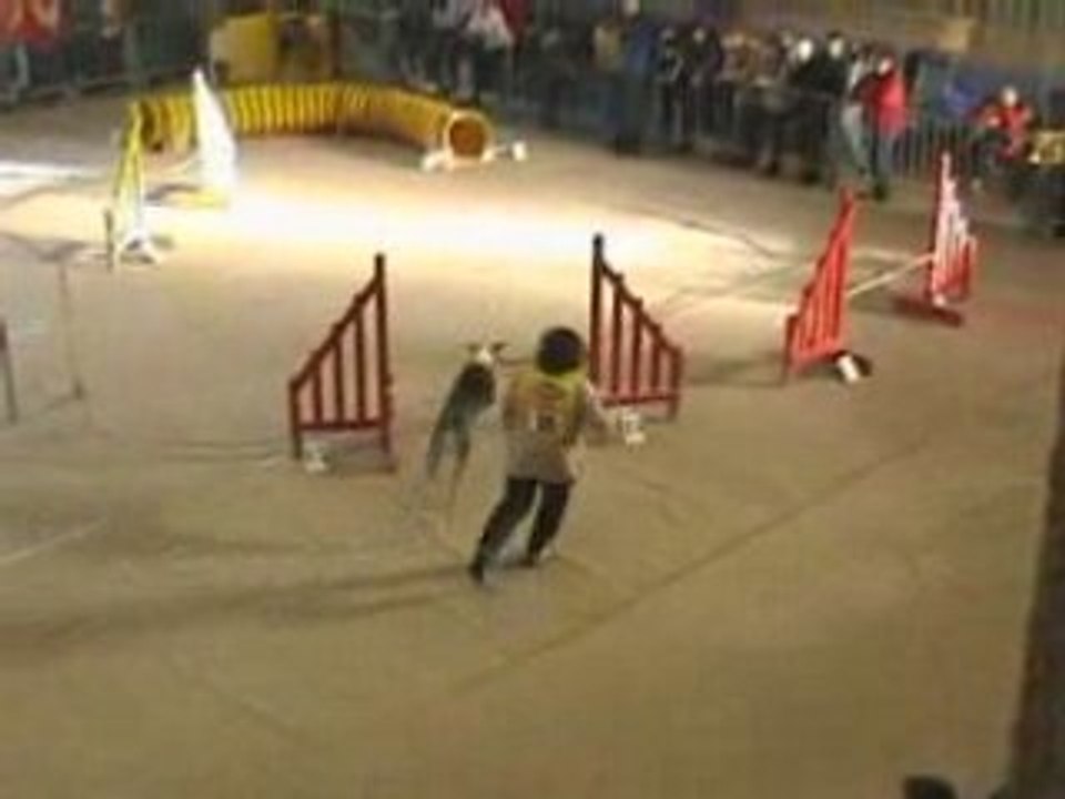 Utopie agility mastaing 2005 2