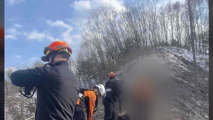 강원도 양구서 벌목 중 나무에 맞은 50대 숨져...중대재해처벌법 조사 / YTN