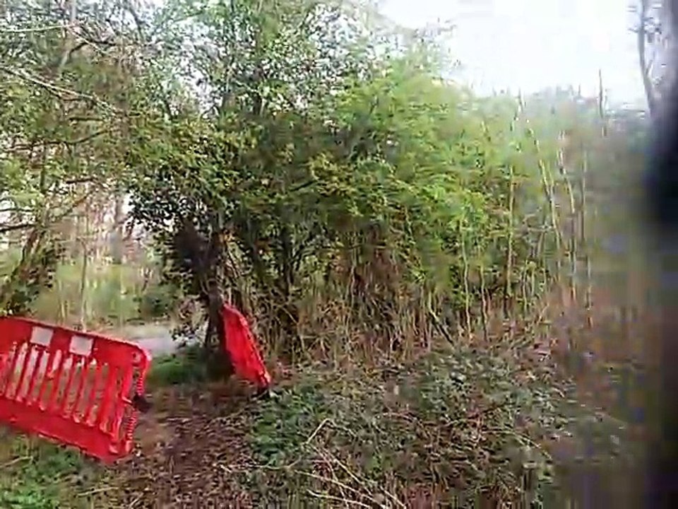Illegal Fencing, Whin Common, Denver
