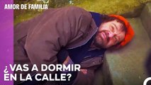 Especialistas En Traer Problemas A Los Elibols  - Amor De Familia