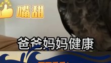 小鸚鵡會講廣東話！Parrot can speak Cantonese!
