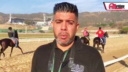 Hipismo: Jesús A. Romero, Entrenador.