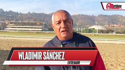 Hipismo: Wladimir Sánchez, Entrenador.