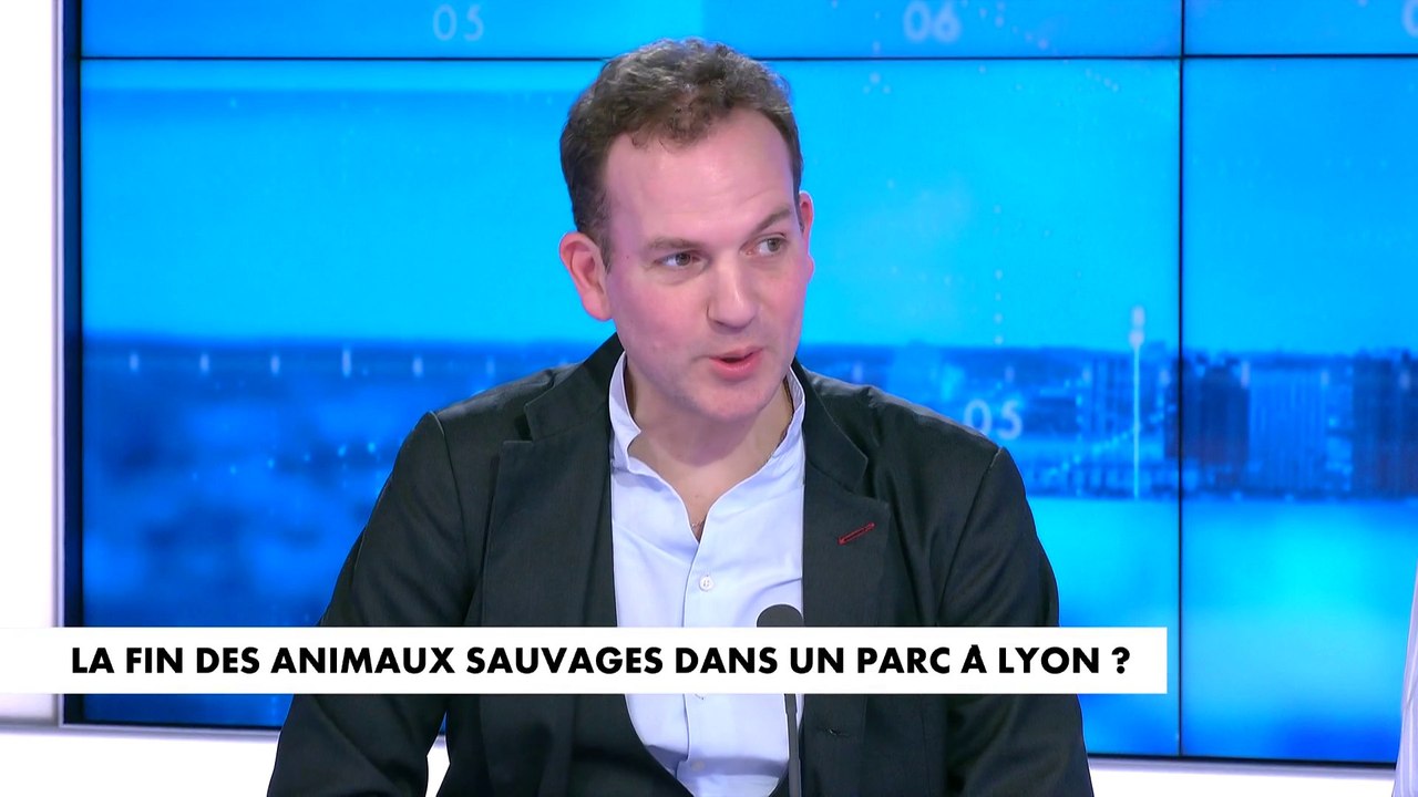 Vincent de la Morandière : «Dans le système juridique, l’animal est un bien qui est doué d’une sensibilité»