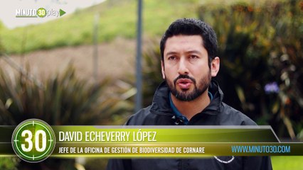 Autoridad ambiental le pondrá la lupa al caso del tigre que mataron en la Hacienda Nápoles