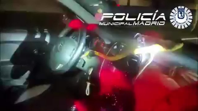 Aparece esta serpiente gigante en el coche de una mujer mientras conduce por la A-4 en Madrid
