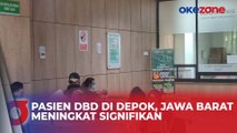 Jumlah Pasien DBD di Depok, Jawa Barat Meningkat Signifikan