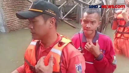 IRT Tolak Dievakuasi Demi Jaga Kucing Kesayangannya Meski Dikepung Banjir