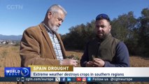 Three years of drought, and Catalonia is dying