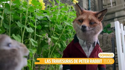 Las aventuras de Peter Rabbit