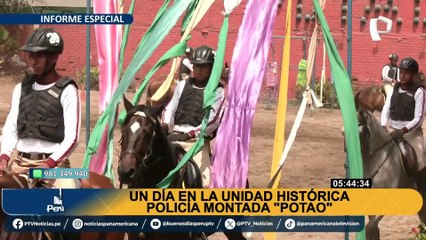 ¡Experiencia inigualable! Así se vive un día en la unidad histórica de la Policía Montada Potao