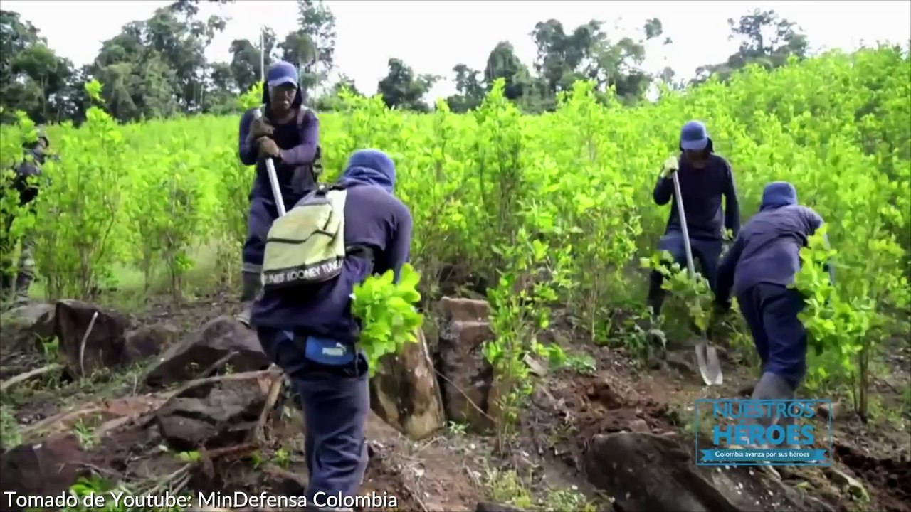 26-06-18 Antioquia Libre de Coca principal herramienta contra el uso indebido y el trafico ilicito de drogas