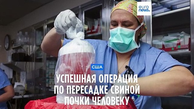 В США проведена первая успешная операция по пересадке свиной почки человеку