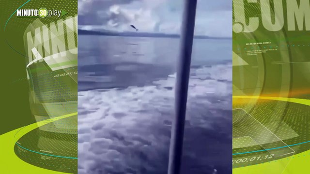 El espectáculo con el que delfines sorprendieron en Turbo Antioquia