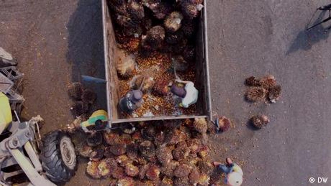 Mehr Transparenz für nachhaltigere Produkte