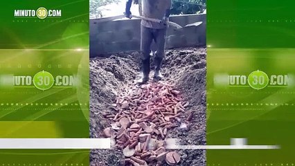 DESTRUCCIÓN CARNES FRÍAS EN ANTIOQUIA