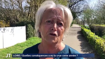 LOIRE / Quelles conséquences a eu la crue cette année ?