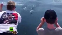 Tiburón 'roba' el botín a unos pescadores en EE.UU.