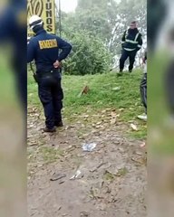 [VIDEO] Accidente Salto de Tequendama Un auto con cuatro personas cayó al vacío