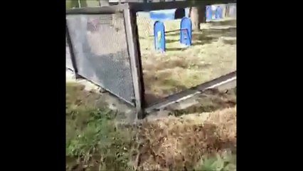 14-04-19 parque canino envigado