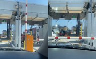 Cae pluma encima de auto que cruzaba por la garita San Ysidro - Tijuana