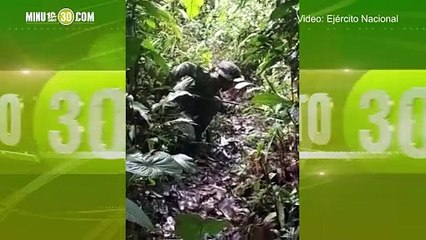 Neutralizan atentado del ELN en la vía Medellín Quibdó