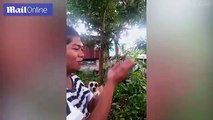 Mosquito whisperer’ demonstrates his unusual killing method