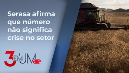 2023 registra 123 pedidos de recuperação judicial de produtores rurais