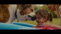 La Razón De Estar Contigo 2: Un Nuevo Viaje - Trailer Español Latino Sub Spanish 2019