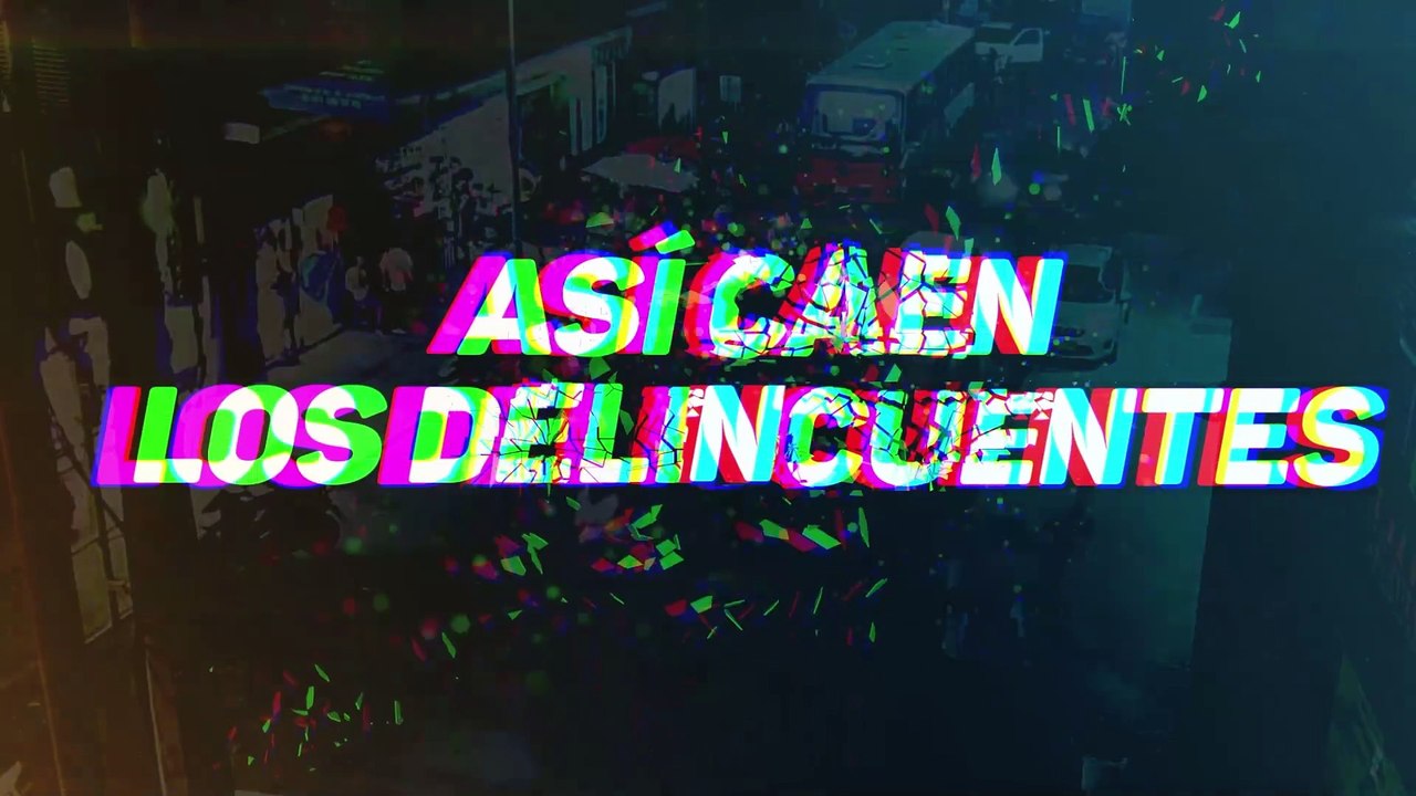 programa 8