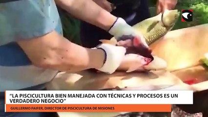 Misiones y la ONG Mayma trabajan para fortalecer la actividad acuícola de la provincia