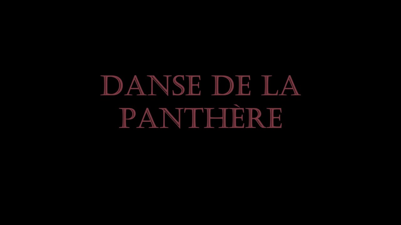 Danse de la Panthère