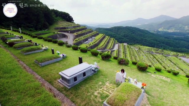 Wonderful World (2024) | Trailer Explained | Cha Eun Woo, Kim Nam joo | Korean drama