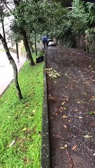 Inundação em Petrópolis: Veja os Impactos e Atualizações 🌊