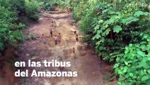 Preocupación mundial por el incendio del Amazonas