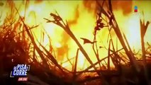 #PrayforAmazonia: crónica de los incendios forestales en Brasil