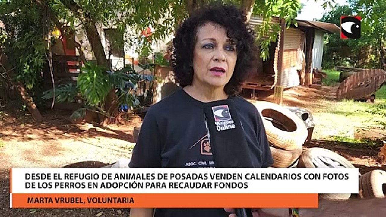 Desde el Refugio de Animales de Posadas venden calendarios con fotos de los perros en adopción para recaudar fondos