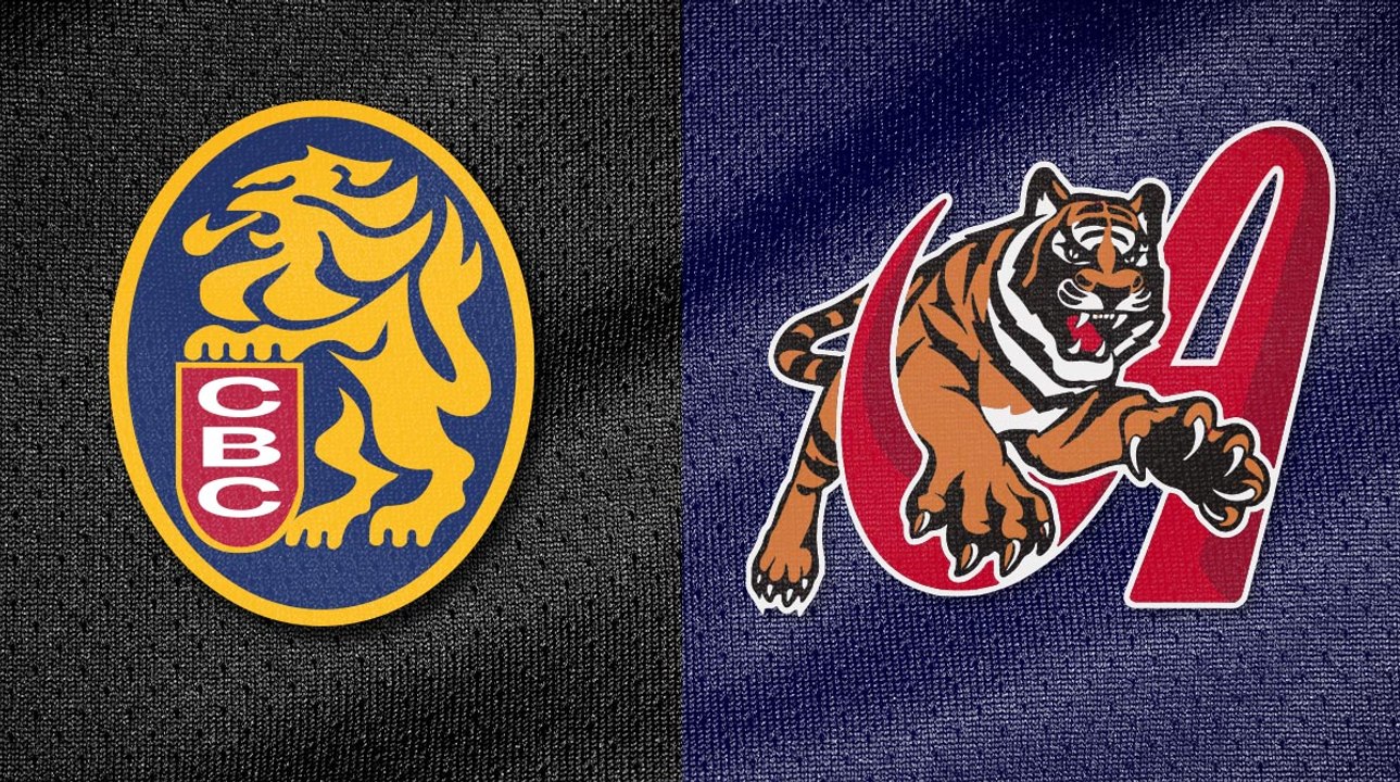 LEONES DEL CARACAS vs TIGRES DE ARAGUA 24/11/2023