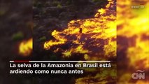 Incendios en la #Amazonas: imágenes satelitales muestran la gravedad del desastre