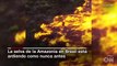 Incendios en la #Amazonas: imágenes satelitales muestran la gravedad del desastre