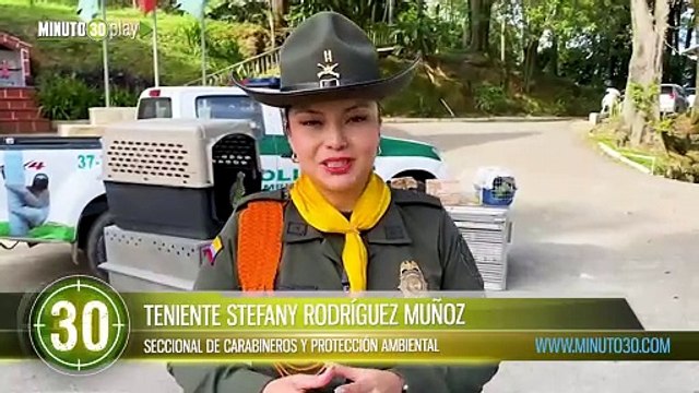 Incautaron más de 15 especies de fauna silvestre en el Valle de Aburrá