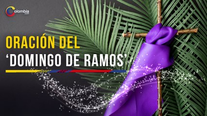 Tải video: Domingo de Ramos: oración para iniciar la Semana Santa y bendecir las palmas