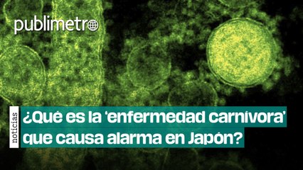 ¿Qué es la ‘enfermedad carnívora’ que causa alarma en Japón y que prolifera en ese país?