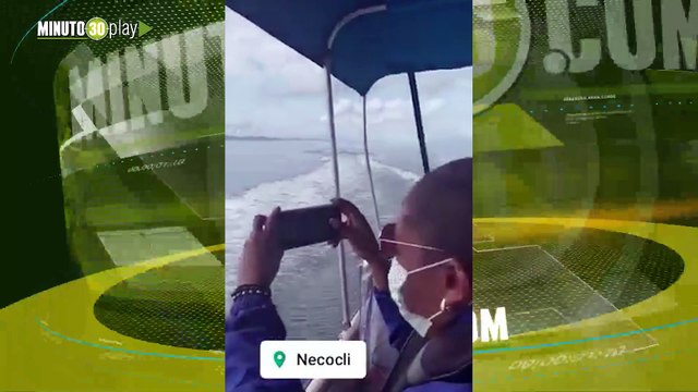 Demasiado hermosos el espectáculo que dio una manada de delfines en el mar de Antioquia