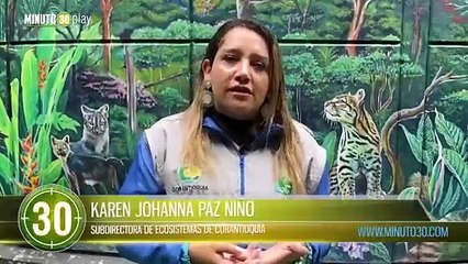 Autoridades rechazaron el asesinato de un jaguar en Ituango